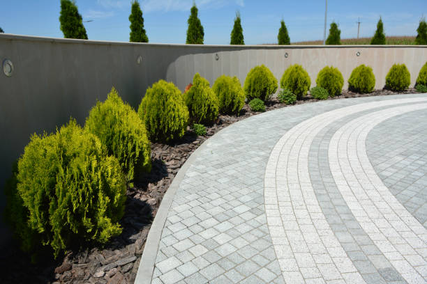 Best Brick Paver Driveways in Ashdown, AR